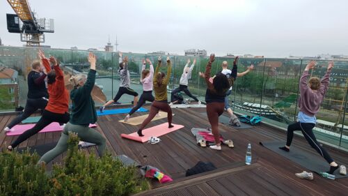 Kolleginnen und Kollegen der Lampe & Schwartze Group bei einer Übung während der ersten Stunde des Outdoor-Yoga-Kurses 2023